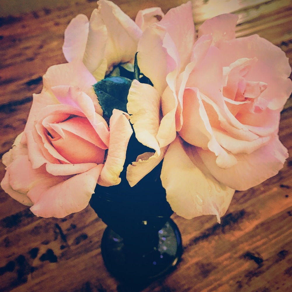 Meet your Posher, Kristen